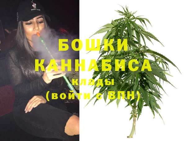 эйфоретик Арсеньев