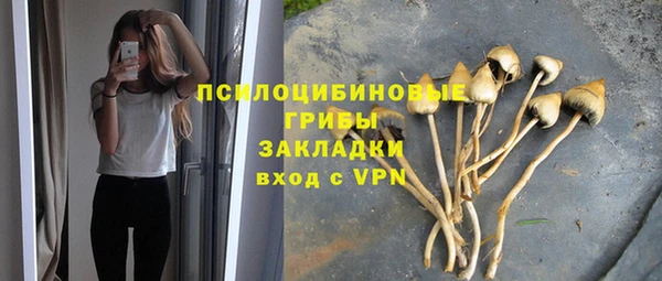 дмт Балабаново